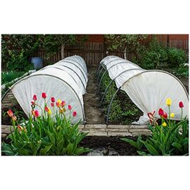 Lecekts "Gorošek" ar plēves pārklājumu