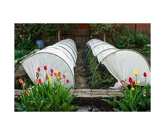 Lecekts "Gorošek" ar plēves pārklājumu